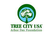 Photo of a tree that is the symbol for Tree City USA