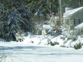 image_26 - Pine Reach 2010