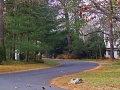 image_55 - Pine Reach