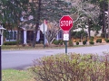 image_56 - Intersection of Dodds Lane and Pine Reach