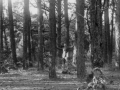 image_13 - Pine Forest Sites of Block H