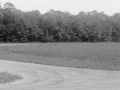 image_17 - Field's End Curves Northward from Pine Reach