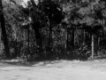 image_3 - Surf Avenue Entrance to Crossways (1930s)
